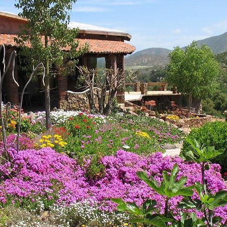 مبيت وإفطار فالي دي جوادالوبي Quinta Maria En La Ruta Del Vino المظهر الخارجي الصورة