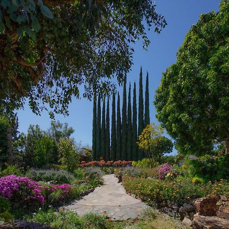 مبيت وإفطار فالي دي جوادالوبي Quinta Maria En La Ruta Del Vino المظهر الخارجي الصورة