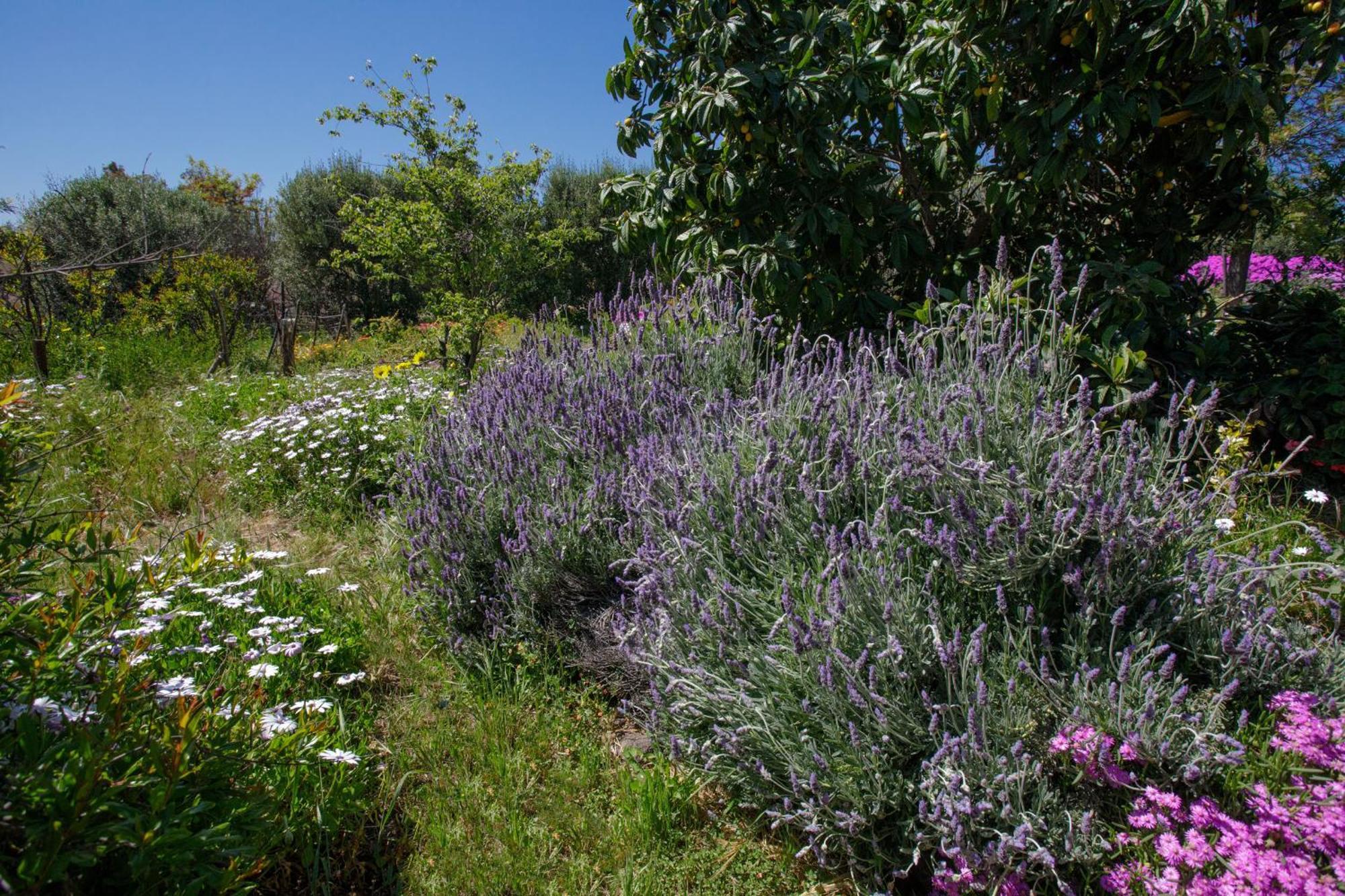 مبيت وإفطار فالي دي جوادالوبي Quinta Maria En La Ruta Del Vino المظهر الخارجي الصورة