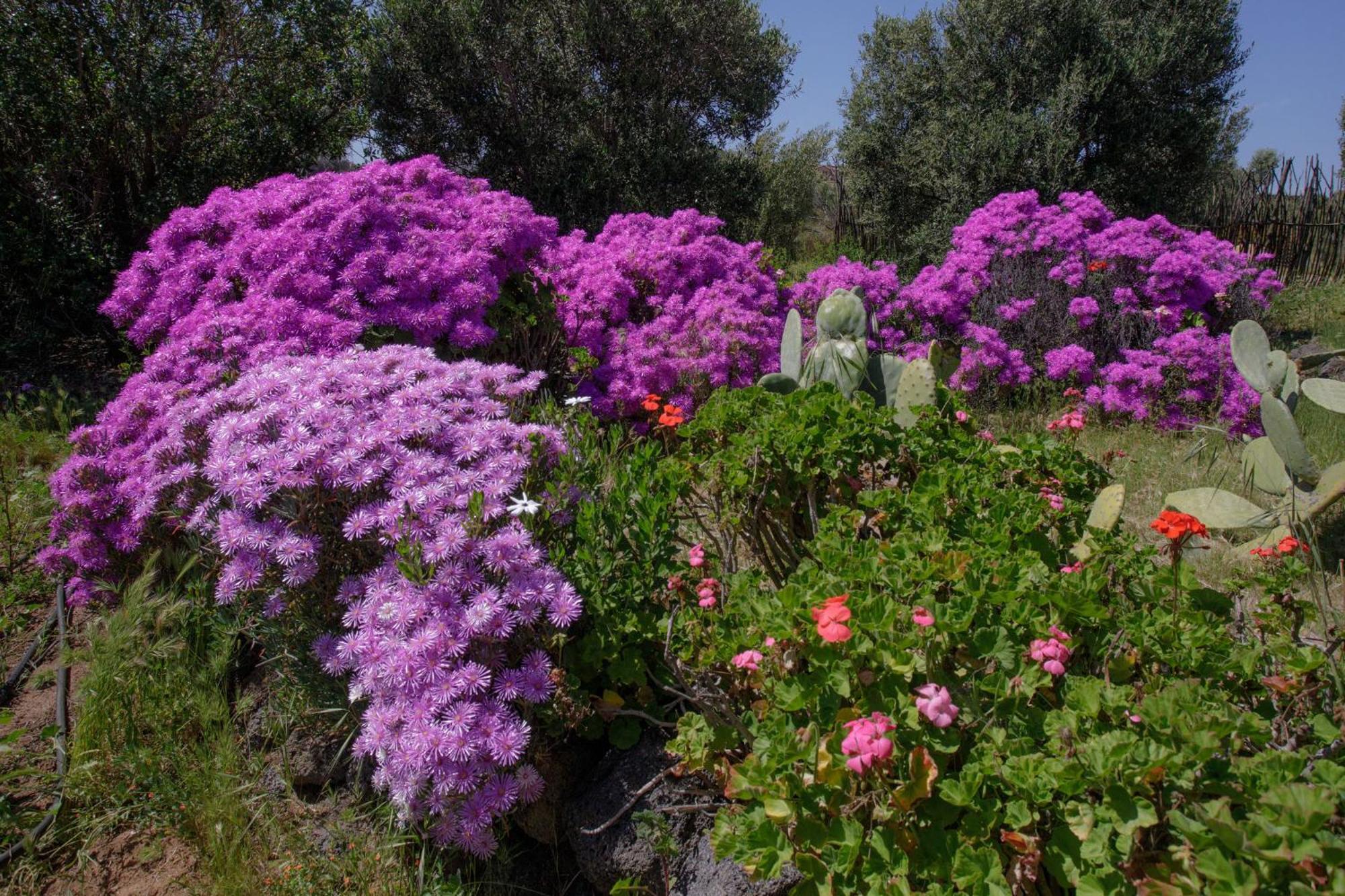 مبيت وإفطار فالي دي جوادالوبي Quinta Maria En La Ruta Del Vino المظهر الخارجي الصورة