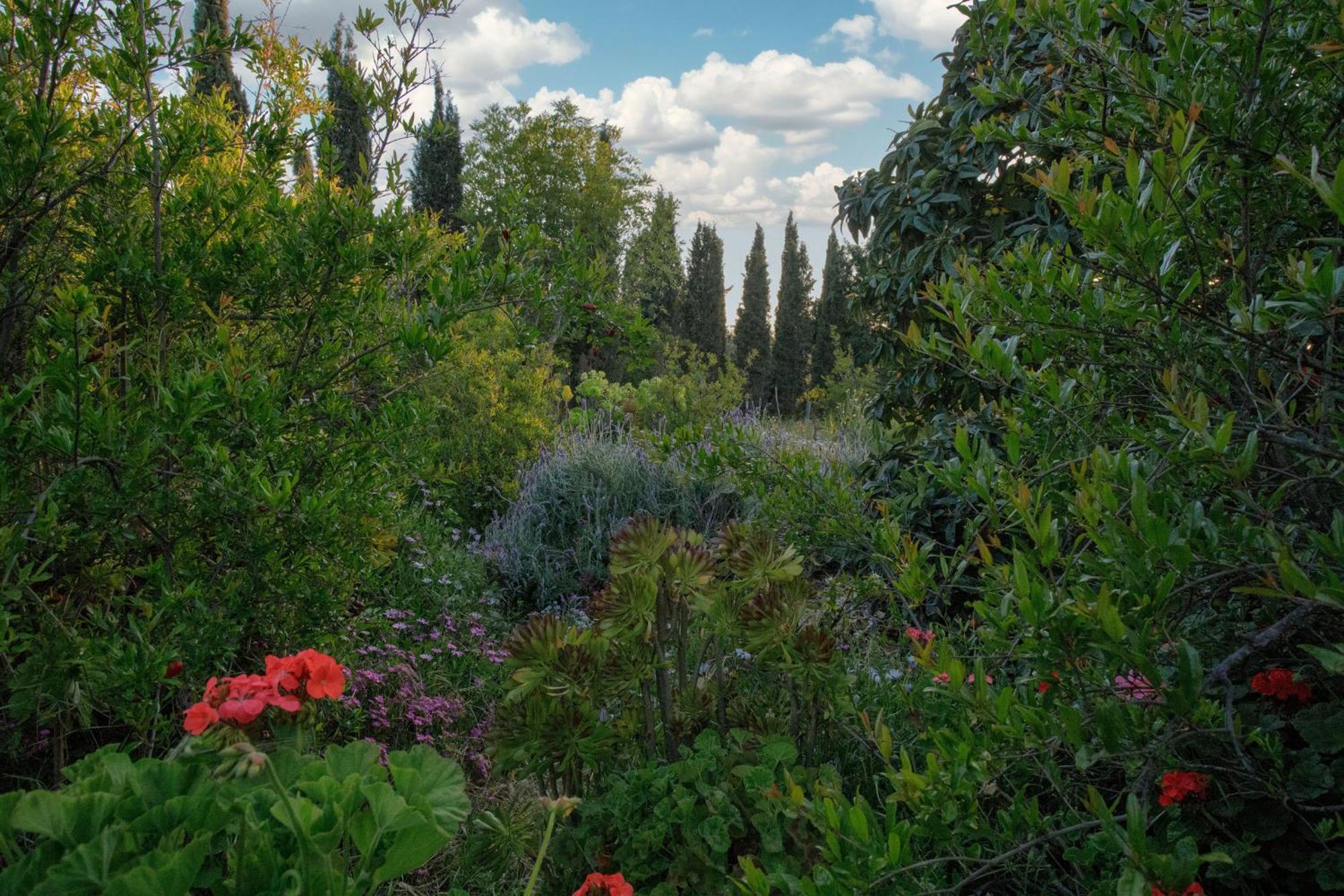 مبيت وإفطار فالي دي جوادالوبي Quinta Maria En La Ruta Del Vino المظهر الخارجي الصورة