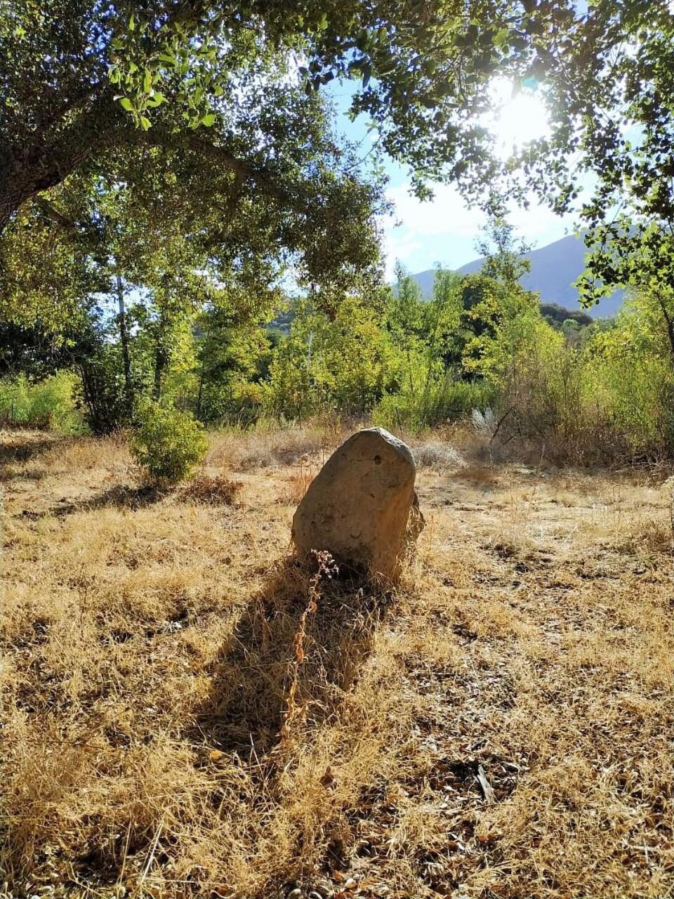 مبيت وإفطار فالي دي جوادالوبي Quinta Maria En La Ruta Del Vino المظهر الخارجي الصورة