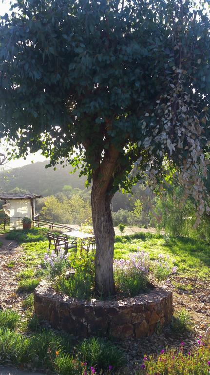 مبيت وإفطار فالي دي جوادالوبي Quinta Maria En La Ruta Del Vino المظهر الخارجي الصورة