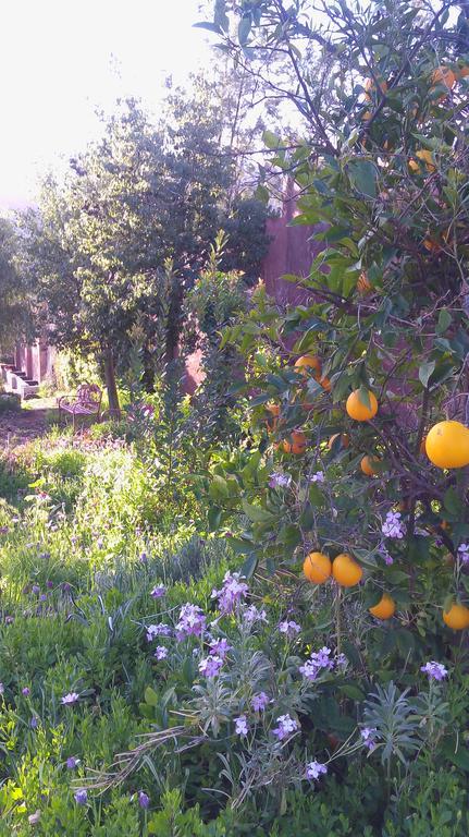 مبيت وإفطار فالي دي جوادالوبي Quinta Maria En La Ruta Del Vino المظهر الخارجي الصورة
